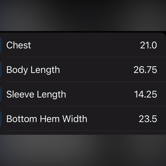 American Vintage Women's Sheer Black Blouse By Ann Taylor Loft Size Medium - Picture 3 of 4